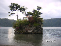 s_PICT0045s.png